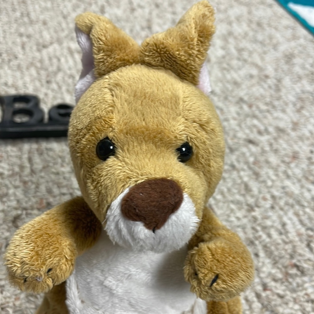 Webkinz Kangaroo